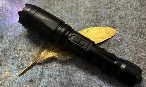 营养中枢神经系统的药-营养中枢神经的口服药网 | 吃什么能营养中枢神经,吃什么能营养中枢神经