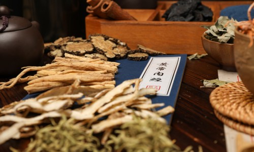 营养中枢神经的药有哪些效果最好-营养中枢神经的口服药网 | 吃什么能营养中枢神经,吃什么能营养中枢神经